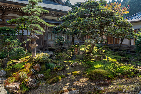 浄専寺