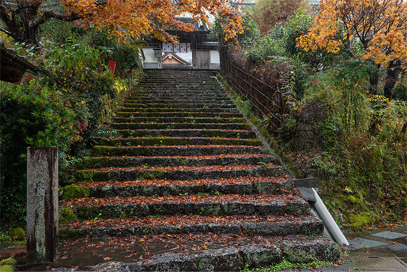 乗台寺　山門