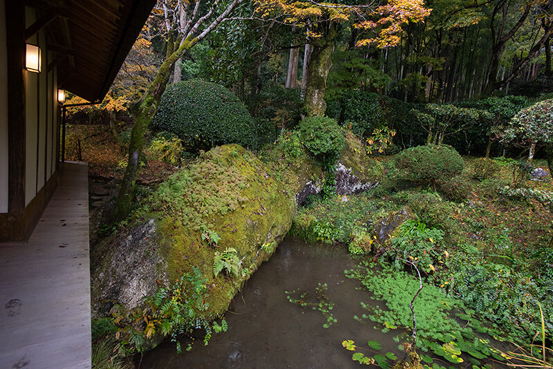苔付いた巨岩