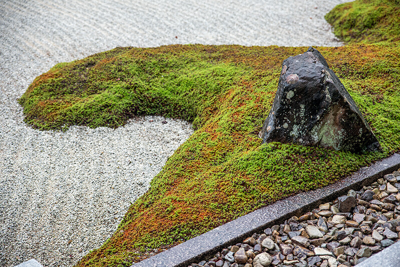 苔による築山