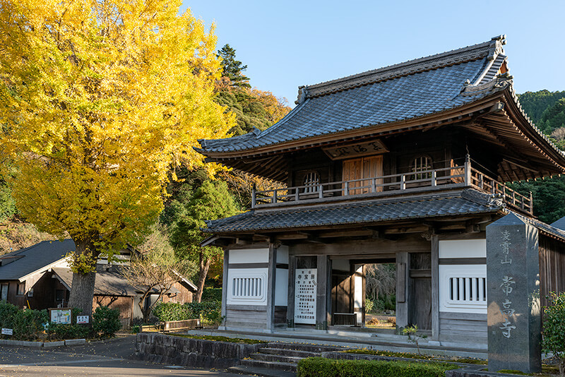 常高寺　山門