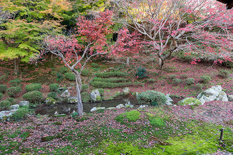 滴翆園（滴翠園）