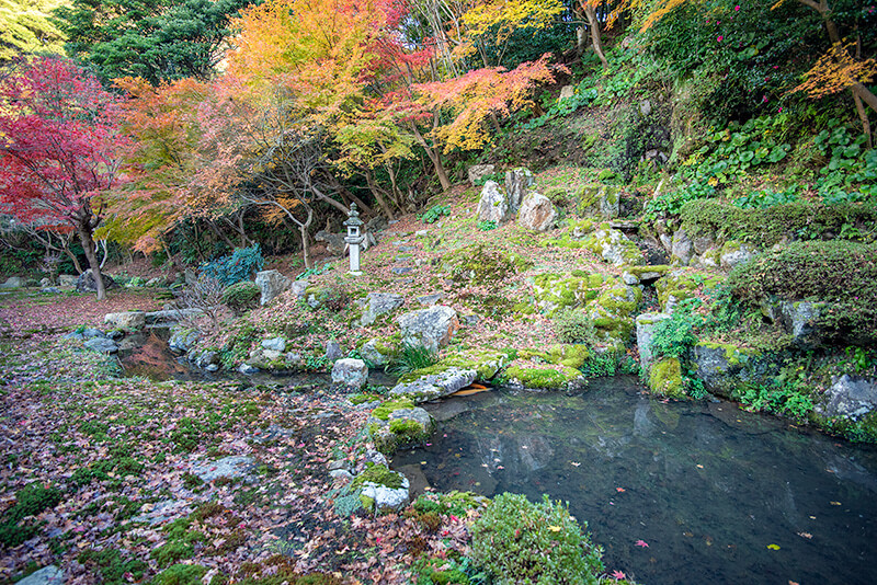 滴翆園（滴翠園）の中央部