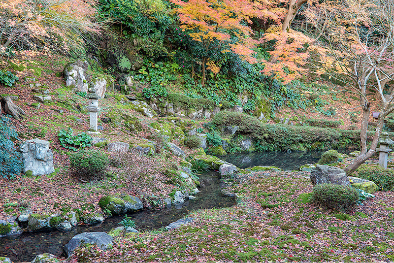 庭園全体に一体感を生み出している