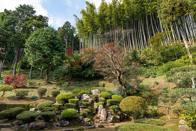 山畔と竹林によりダイナミックさを感じさせてくれる