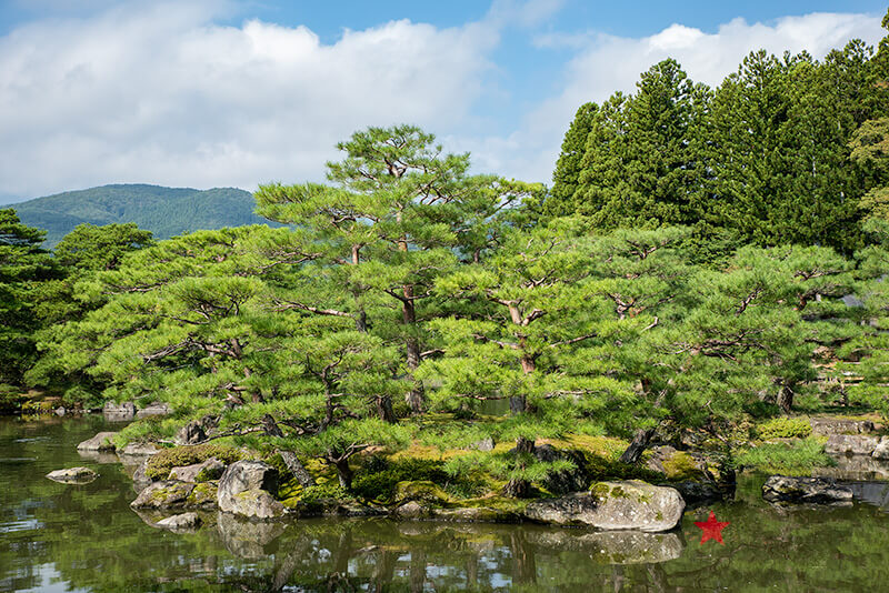 亀島