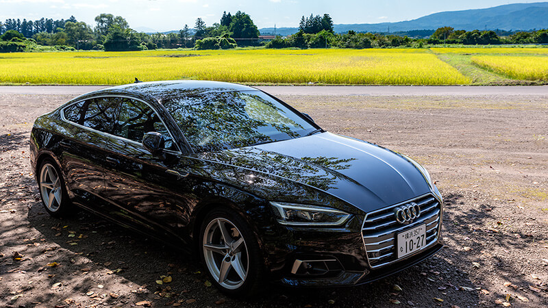 A5 Spotback