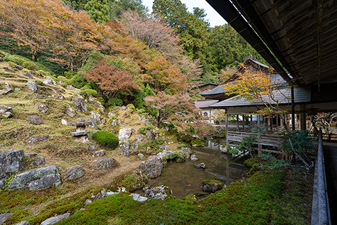 常照皇寺