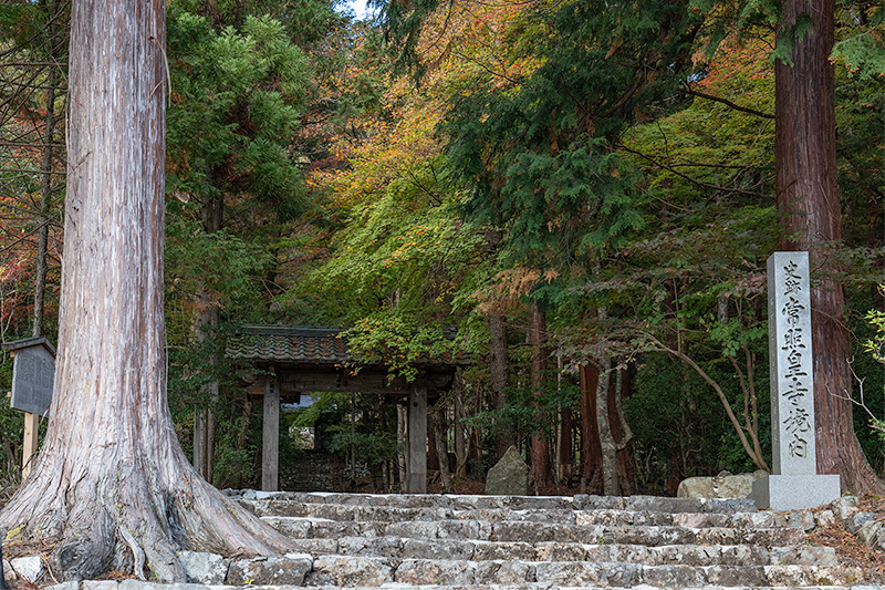 山門