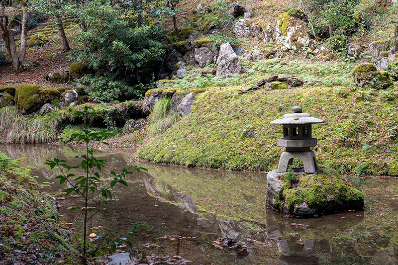 勅使門近くの池泉
