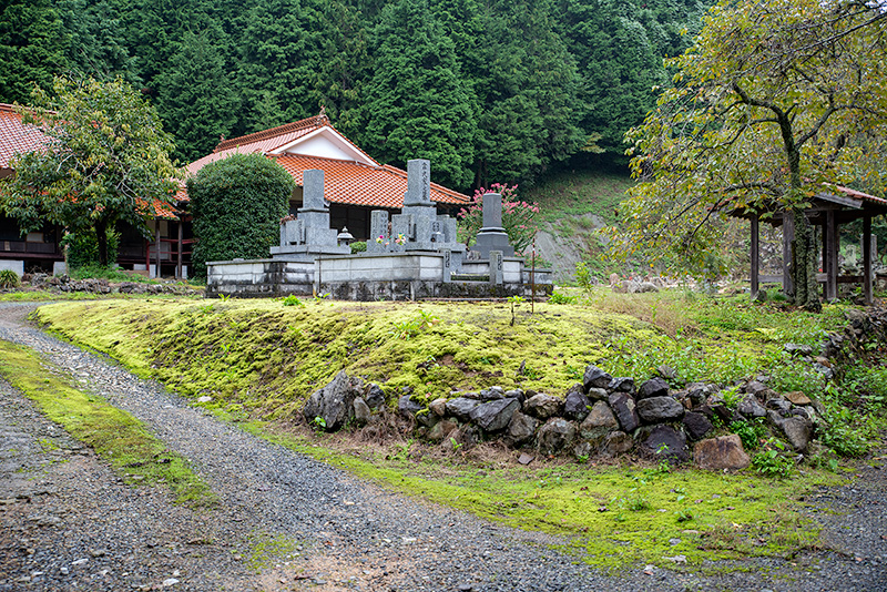 常徳寺の雰囲気