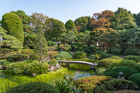 寿徳寺
