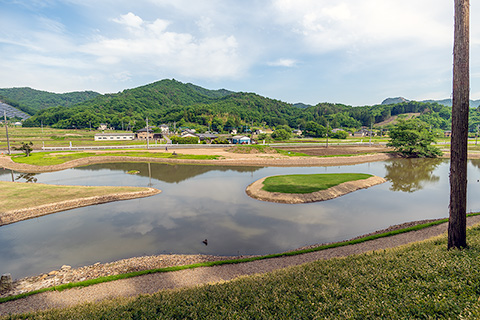 樺崎寺浄土庭園