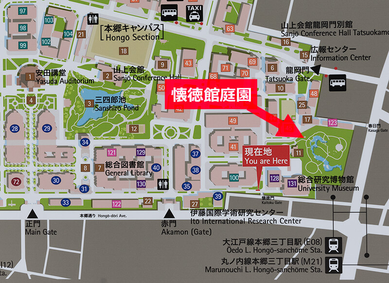 東大敷地内での解凍館庭園の場所