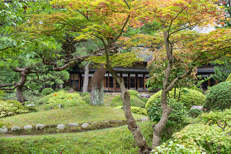 少し色づいた紅葉が舞鶴園に彩りを添える