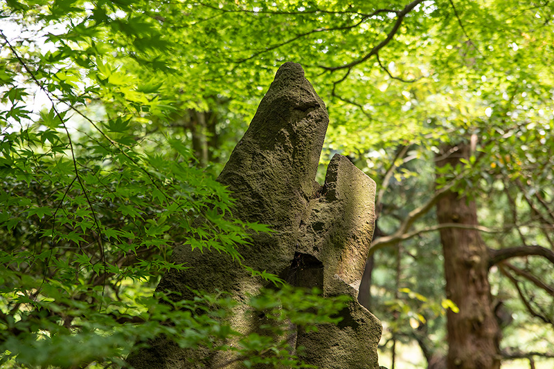 特徴的な意匠をもつ岩