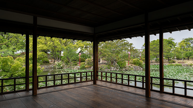額縁庭園