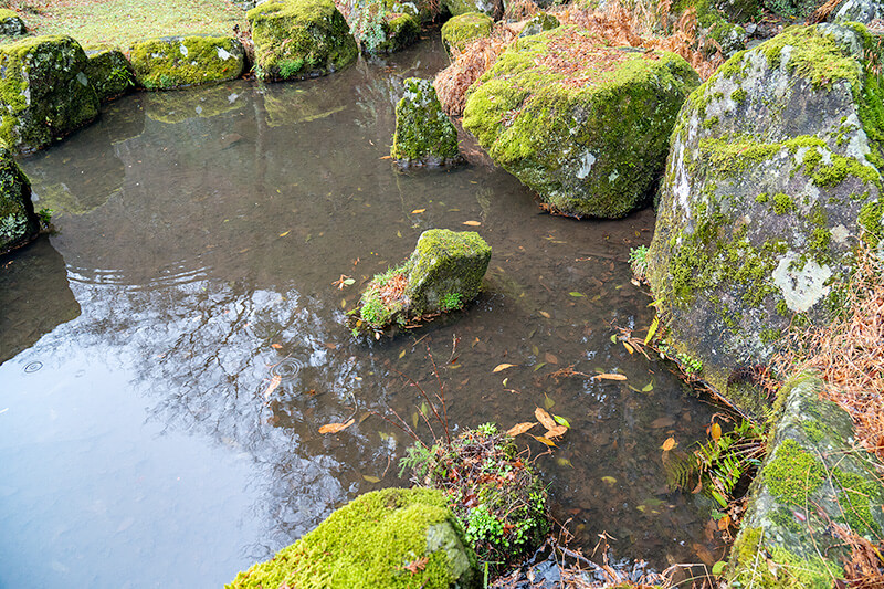 水分石