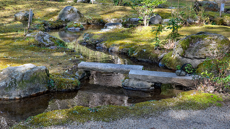 曲水庭園