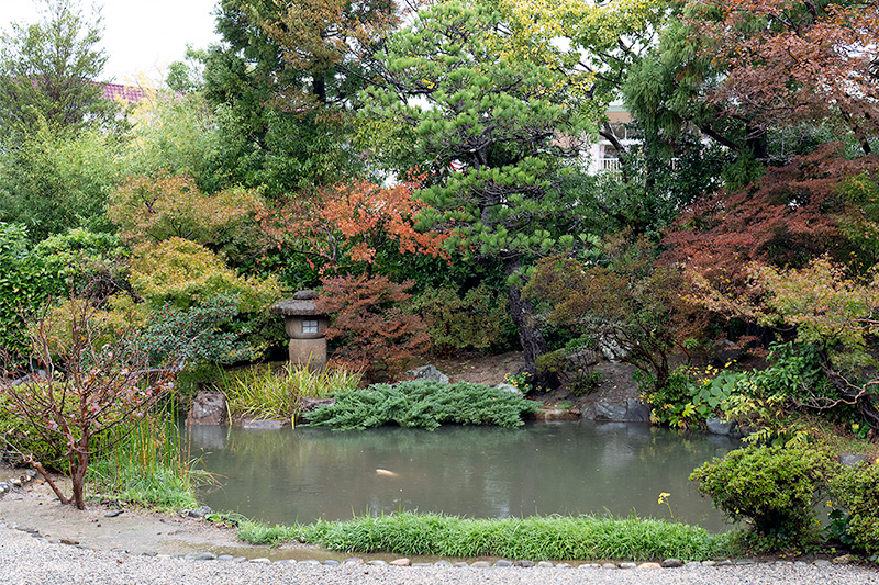 心字池と石灯籠