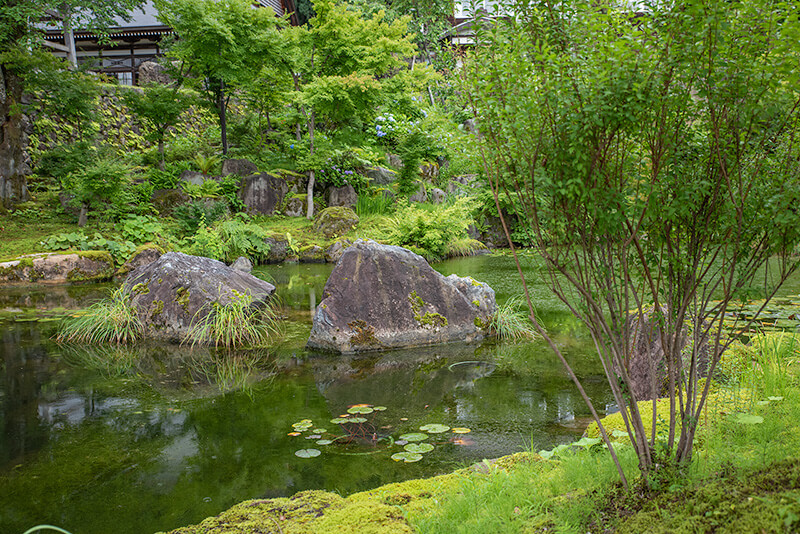 池泉庭園
