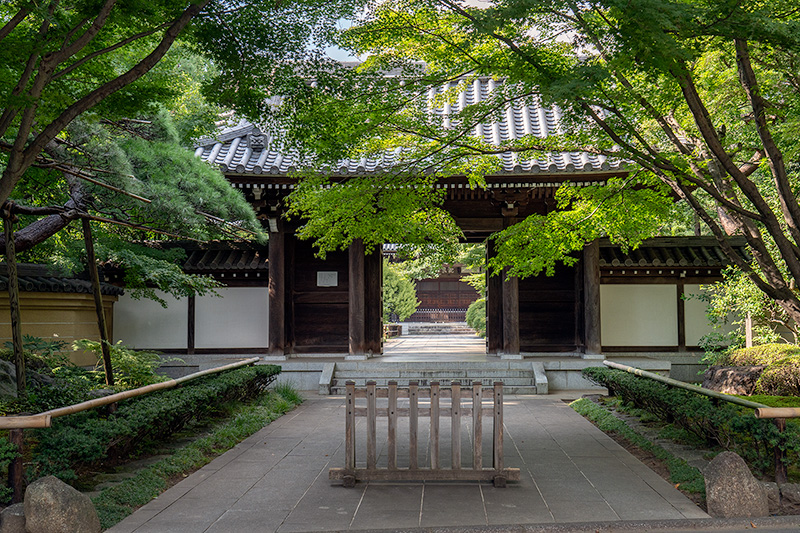 観泉寺　山門