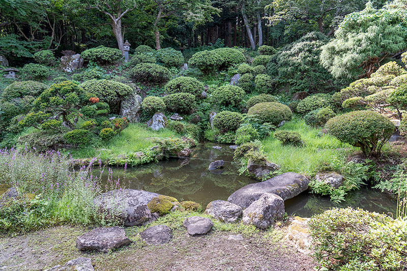 鶴亀の庭