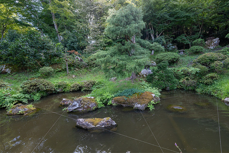 鶴亀の庭