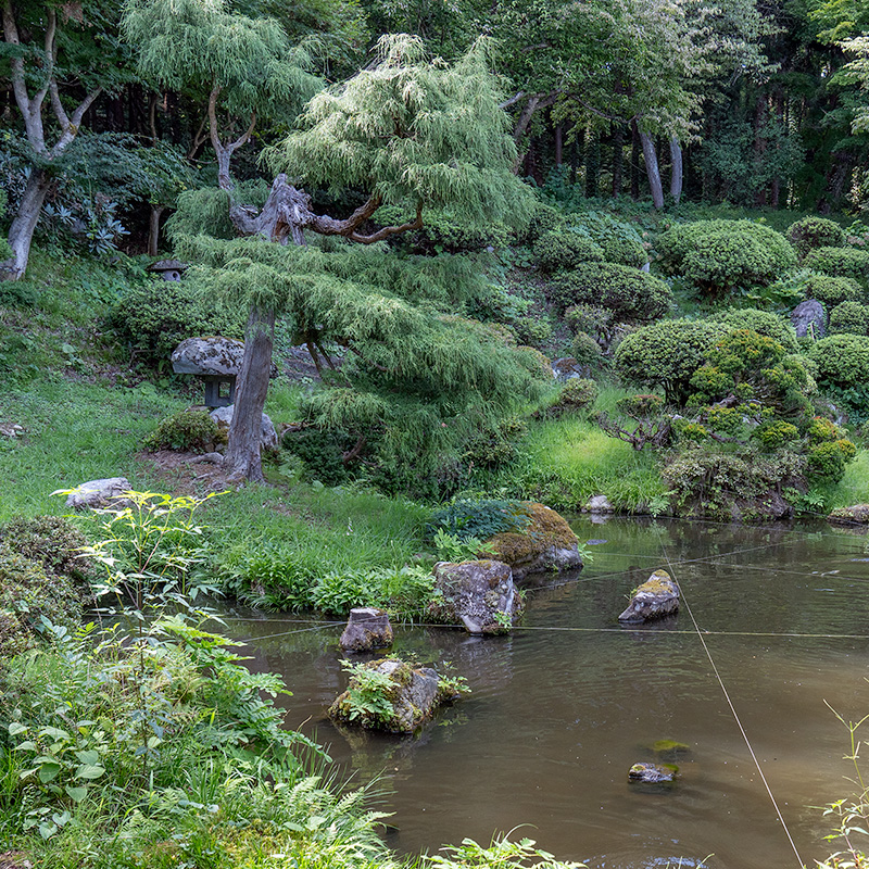 鶴亀の庭