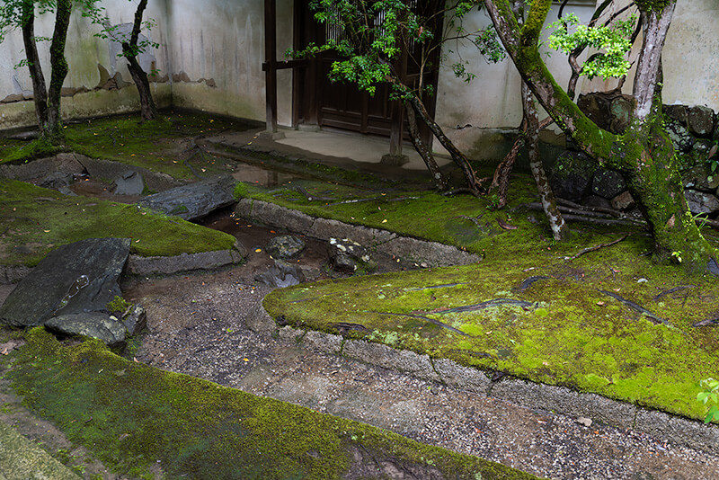 稲妻形　遣水の庭　その３