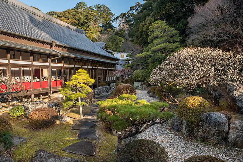 大庭園「法華蔵界の池（はちすのいけ）」