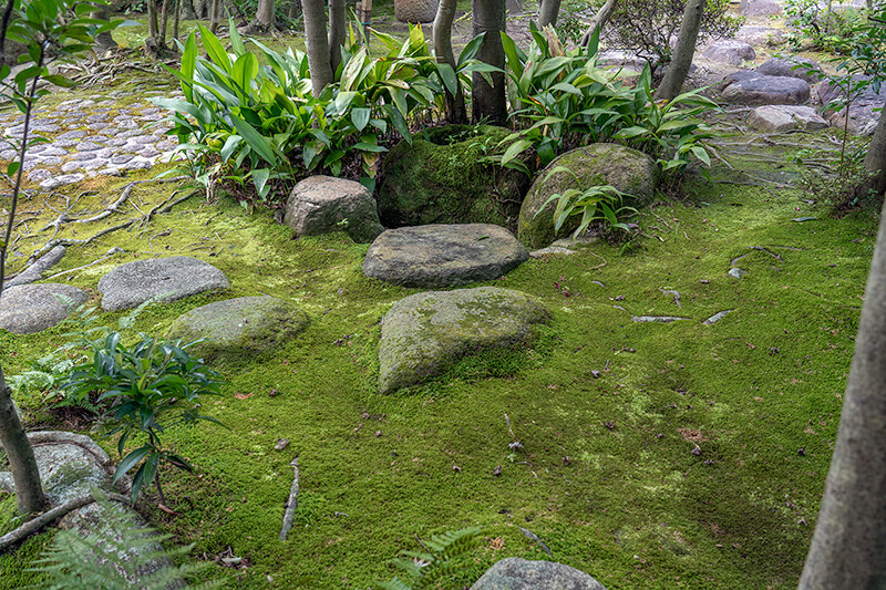 蹲踞（つくばい）