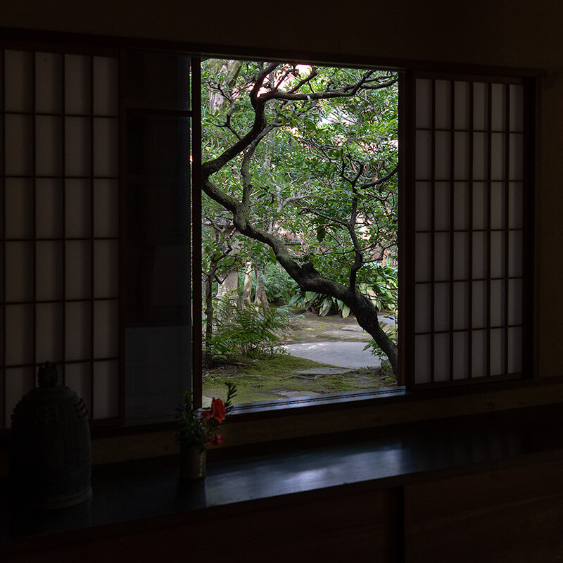 額縁庭園