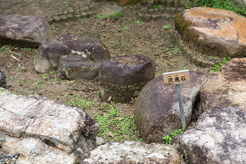 ネームプレートが立てられていて初心者でも理解しやすい