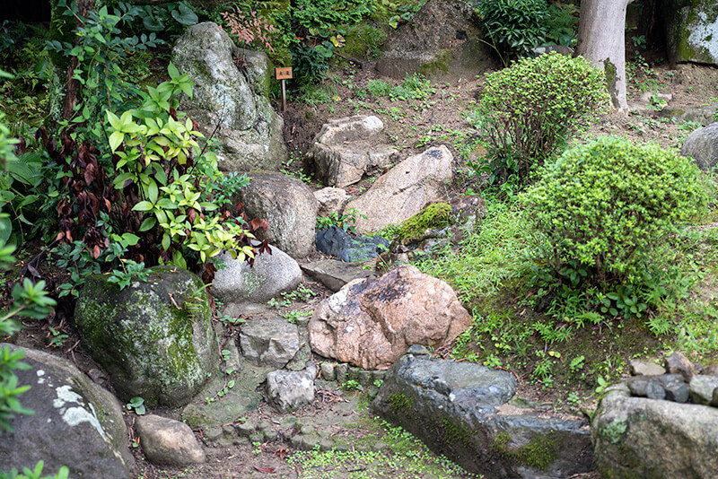 大滝