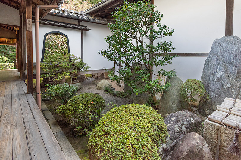桂春院「清浄の庭」