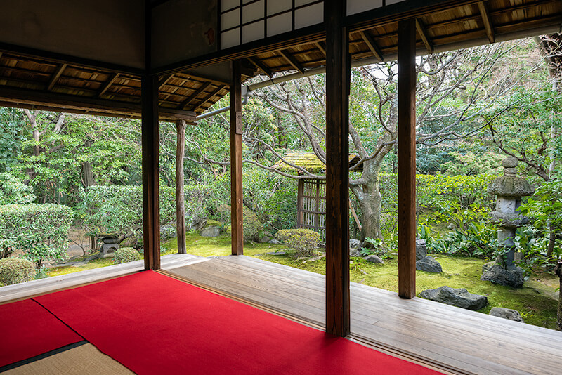 桂春院「侘の庭」