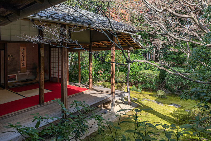 桂春院「侘の庭」