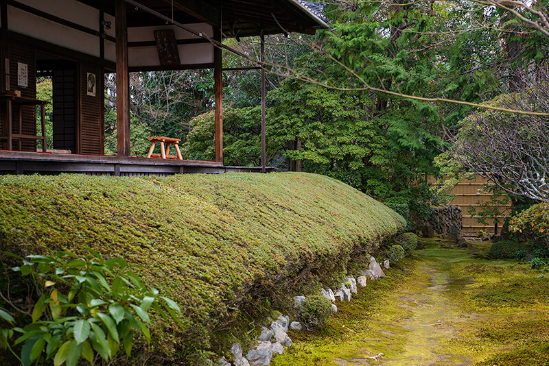 桂春院「真如の庭」