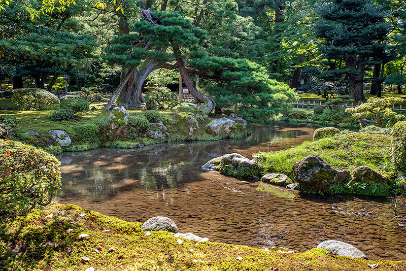 曲水の景が美しいポイント