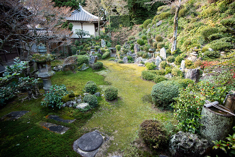 苔庭が二層になっており美しい