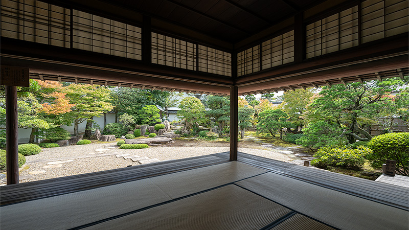 額縁庭園