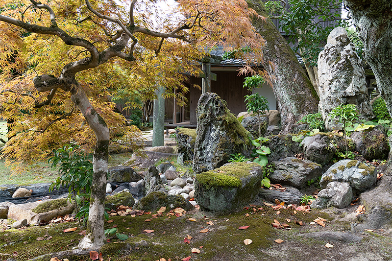 新庭庭園　枯滝石組