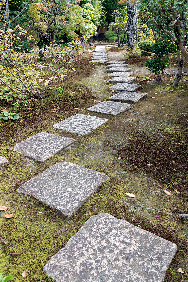 新庭庭園　飛石