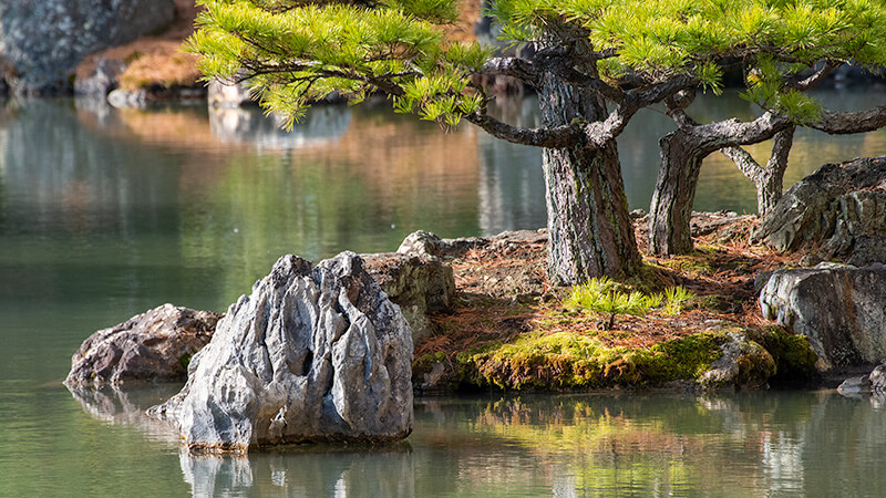 金閣寺の九山八海石