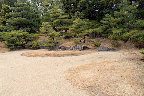 近松寺