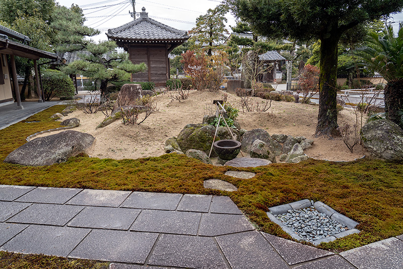 切木（きりご）ボタン園