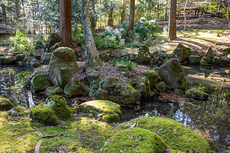 亀島