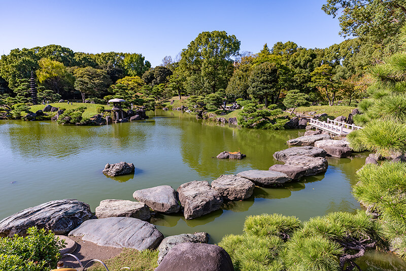 東京ドーム約1個分