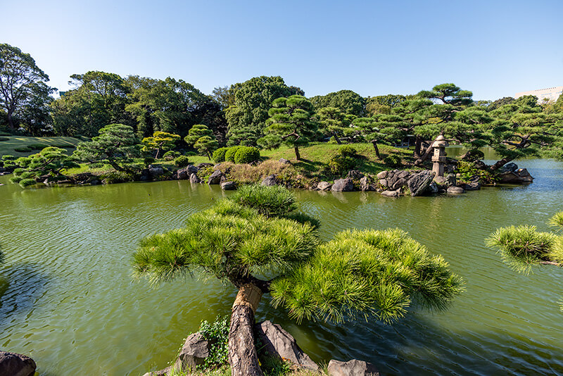 紫陽花越しに数寄屋造りの涼亭を望む（清澄庭園）
